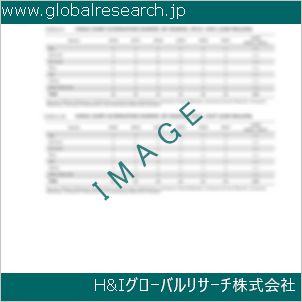 グローバルリサーチ調査資料のイメージ